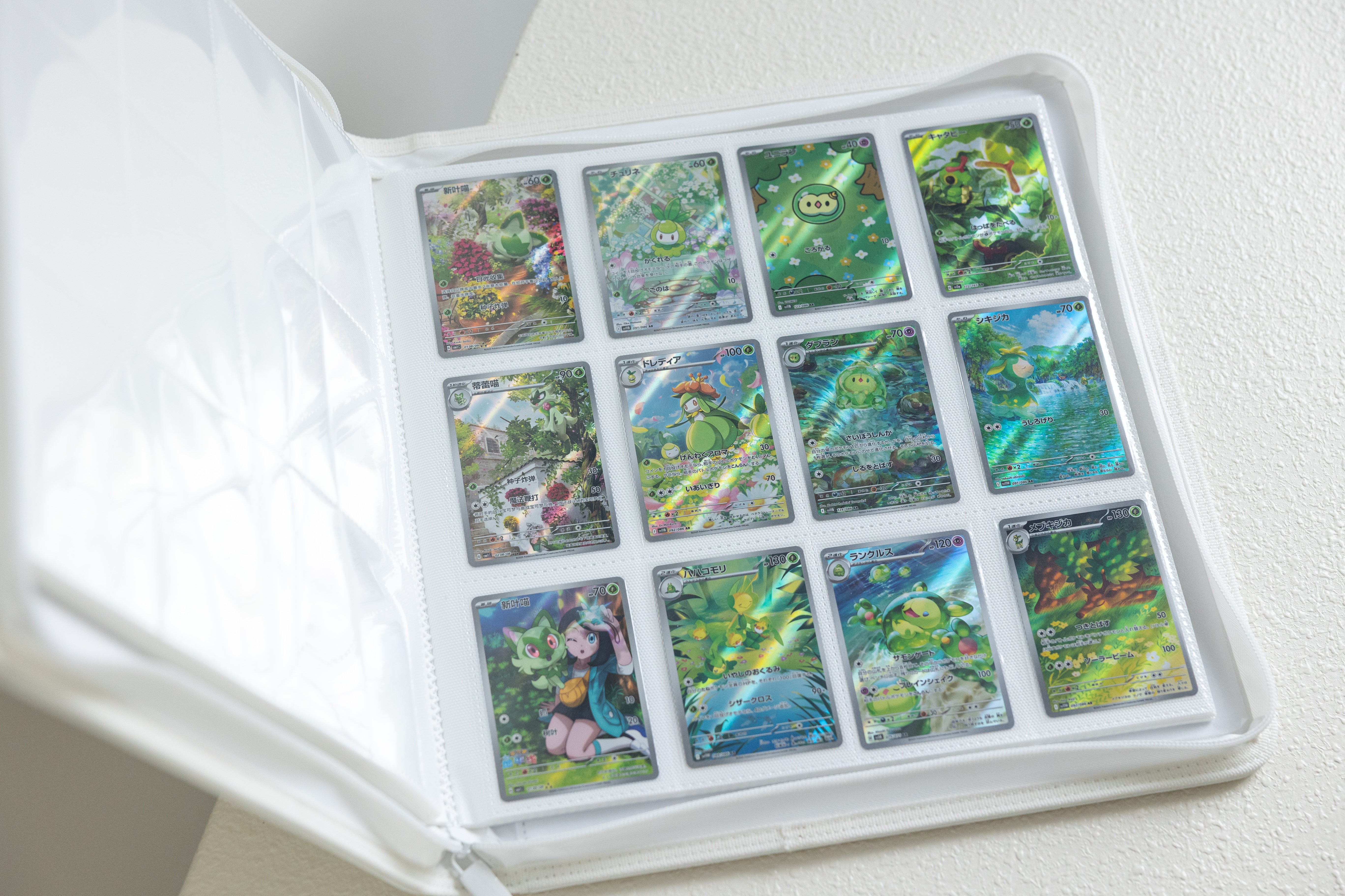 12 Pocket Binder (Standard)